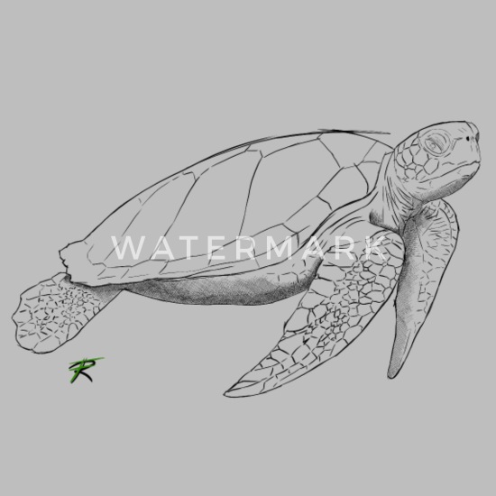 Turtle sketch